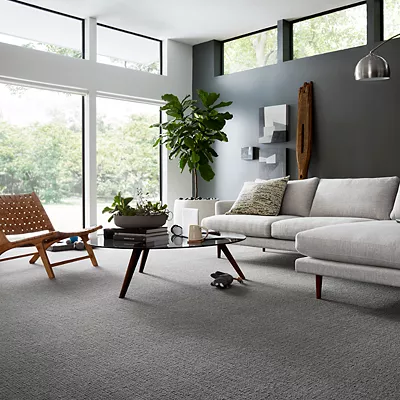 Dark modern living room on dark grey carpet flooring
