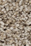 Mohawk Natural Decor I - Tweed Jacket Carpet