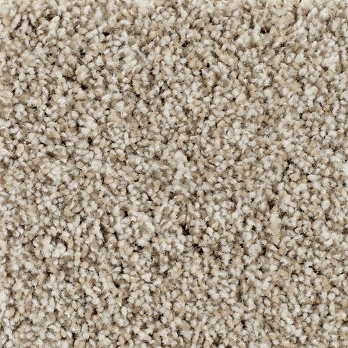 Mohawk Industries Natural Decor Ii Satin Glow Carpet Denton