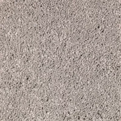 light grey carpet sample