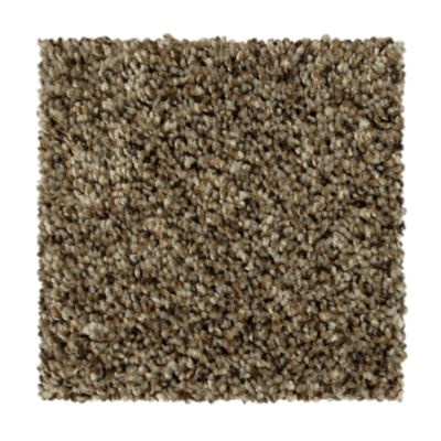 Carpet San Jose, CA Anthony Interiors