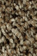 Mohawk Impressive II - Worn Leather Carpet