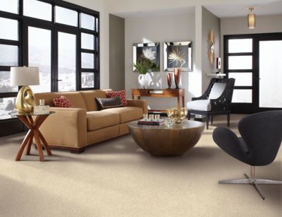 Living room with light brown mohawk carpet