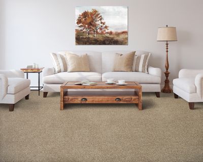 カーペンター BCγ75-190 EverStrand Carpet in London Fog - Mohawk Flooring
