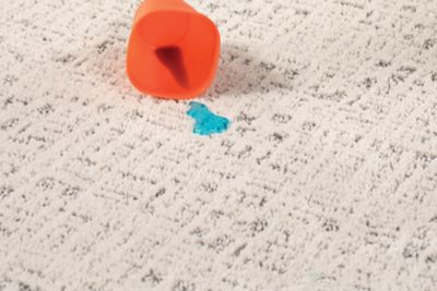 living room with diamond carpet