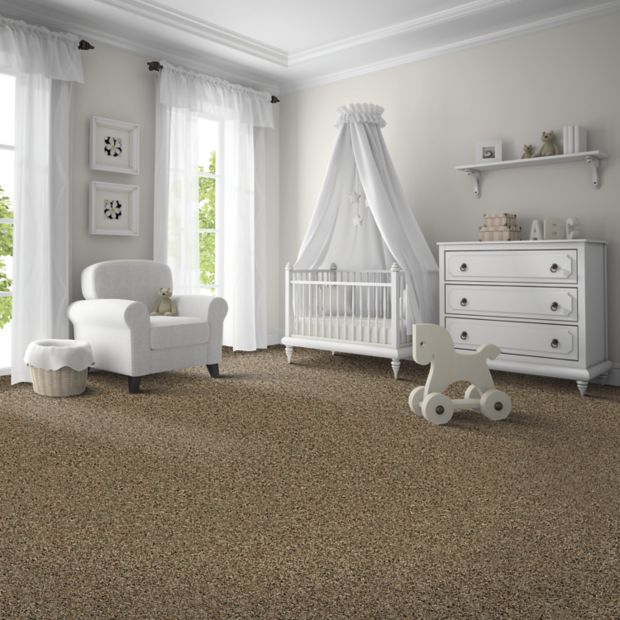 Mohawk Industries Soft Intrigue II Arctic Ivory Carpet North Myrtle