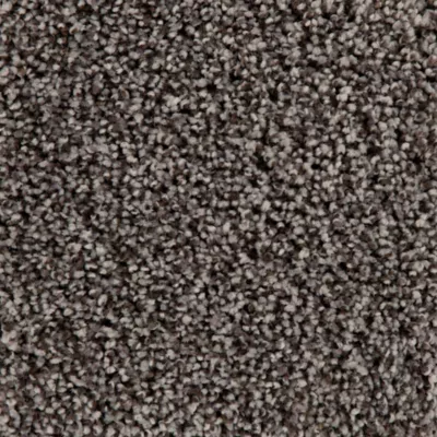 Dark Grey Carpet Sample