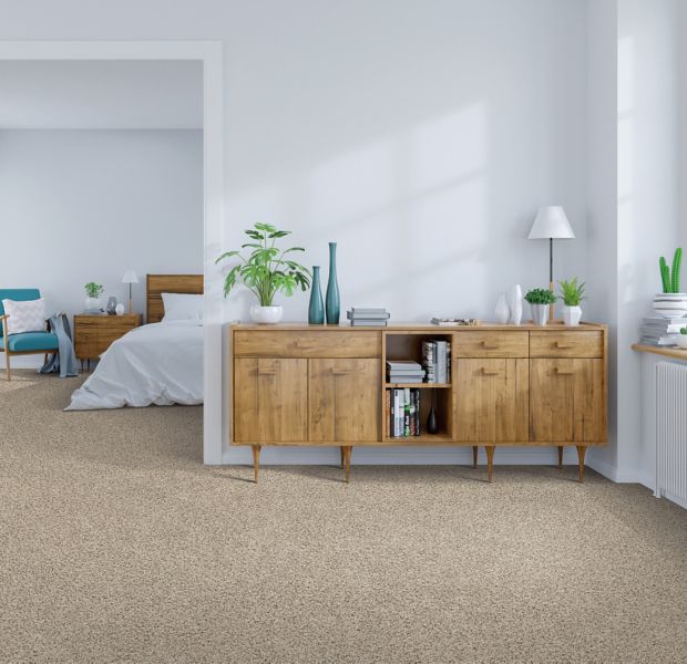 Mohawk Industries Admiration Neutral Carpet - Holly Springs, NC - The ...