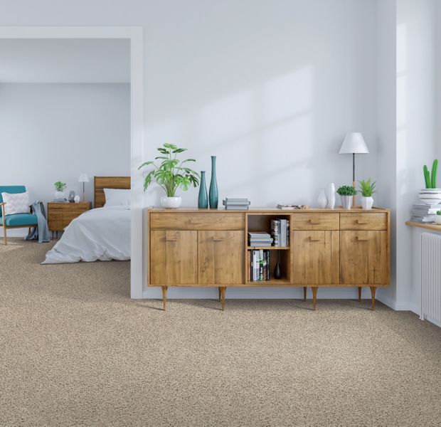 Mohawk Industries Admiration Universal Carpet Sarasota, Florida