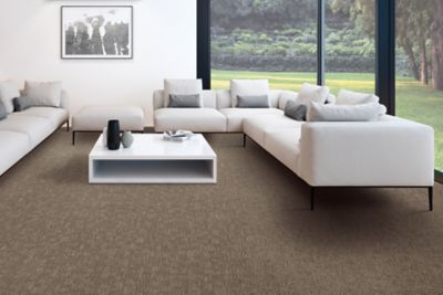 Natural Texture, Champagne, Carpet | Mohawk Flooring