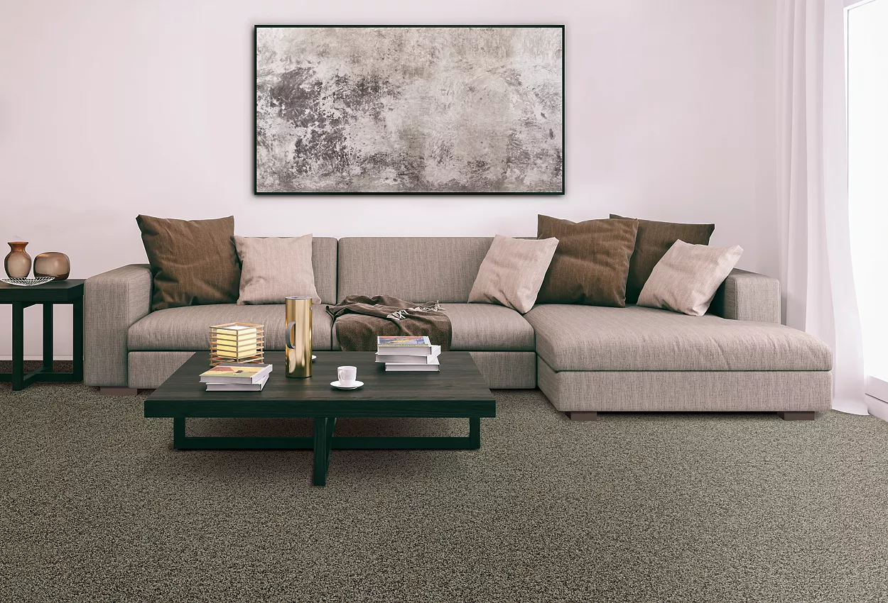 Living room with speckled grey mohawk carpet