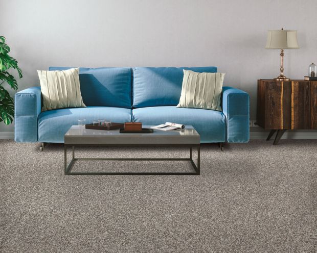 Mohawk Industries Timeless Delight Ii Smokey Mountain Carpet