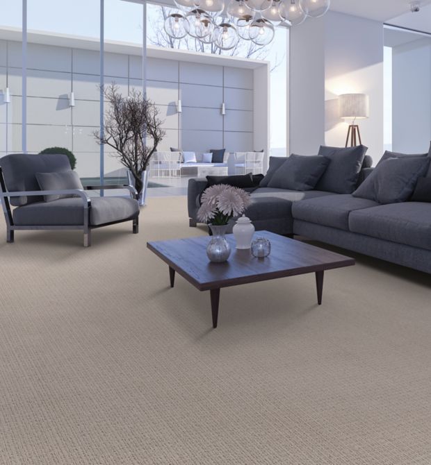 Mohawk Industries Elegant Features Aspen Summit Carpet Clovis, CA