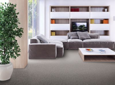 ジャパンテクノロジー フガク (POM) SmartStrand Silk Carpet in Whirlwind - Mohawk Flooring