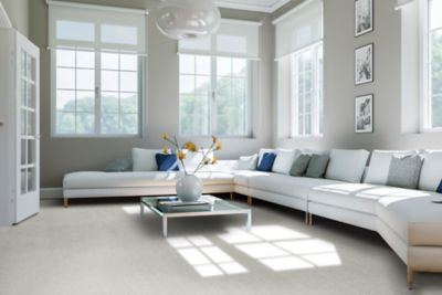 SmartStrand Carpet in Ice Fox - Mohawk Flooring