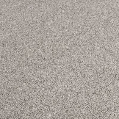 イラン、シルク銀柑シルクラグ/サイズ：60x90cm…..mp2。 SmartStrand Silk Carpet in Boardwalk - Mohawk Flooring