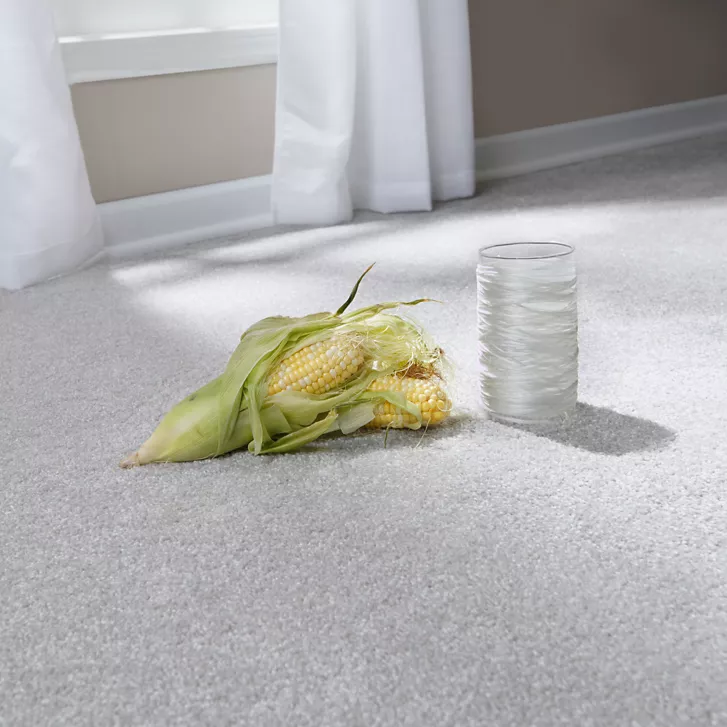 corn on the cob and water glass on carpet