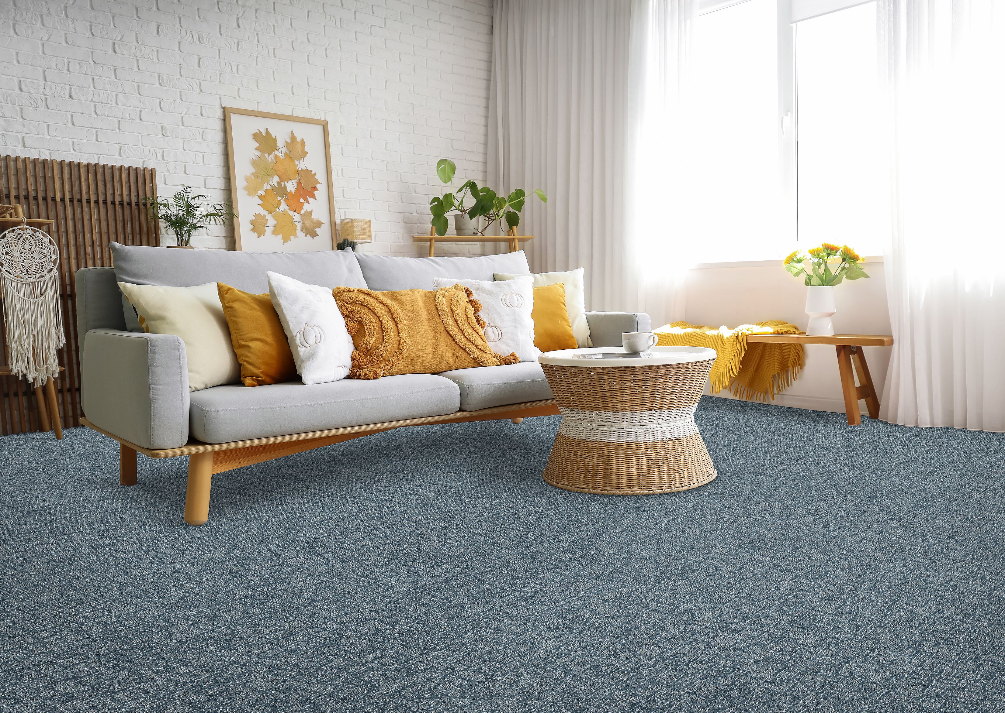 blue carpet in living room