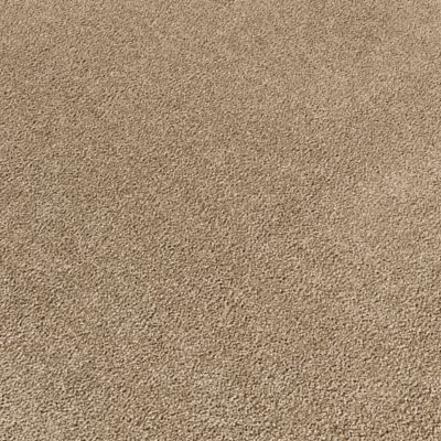 Refined Saga II, Whisper, Carpet | Mohawk Flooring