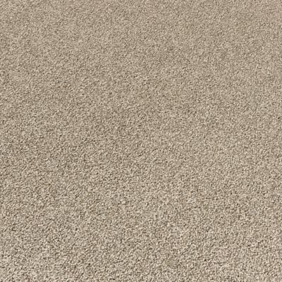 EverStrand Carpet in Ashen Mistral - Mohawk Flooring