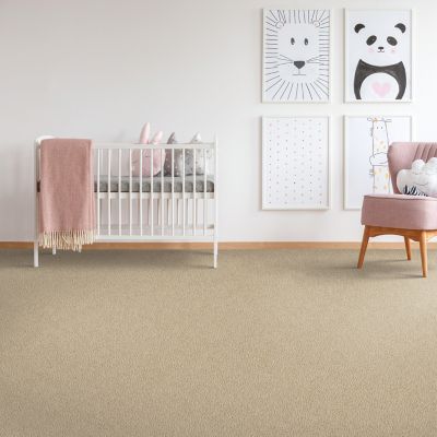 PetPremier Carpet in Mercury - Mohawk Flooring