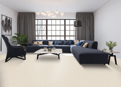 PetPremier Carpet in London Fog - Mohawk Flooring