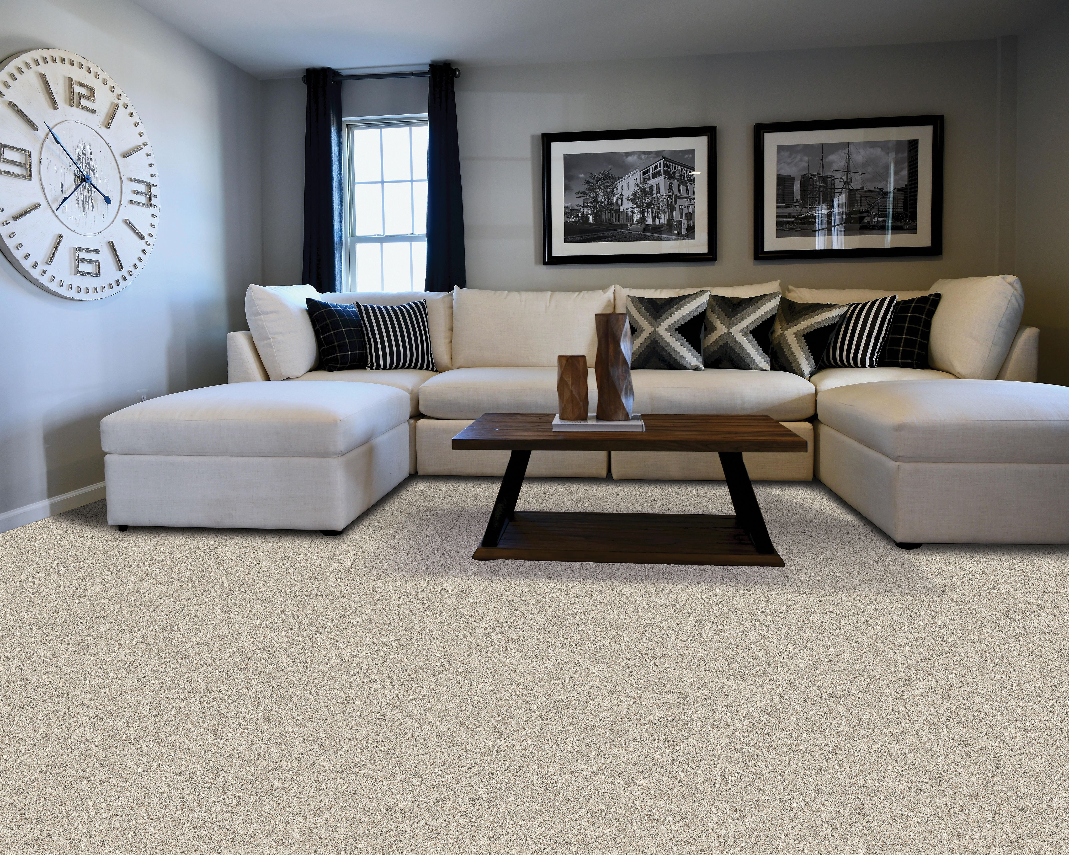 PetPremier Carpet in Frosted Almond - Mohawk Flooring