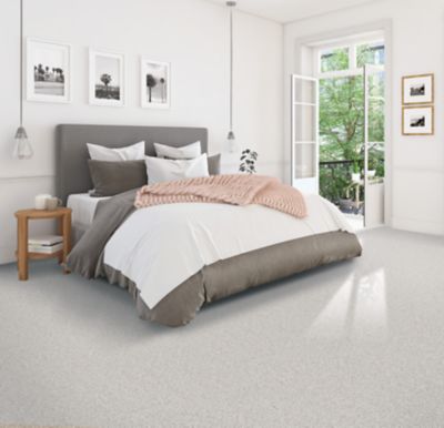 PetPremier Carpet in Oyster - Mohawk Flooring