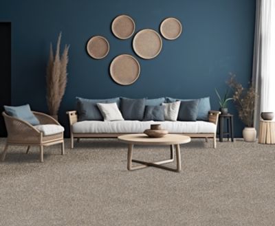 モモンガハウス(ハリネズミ柄ver.3)ボアベージュ  冬仕様 PetPremier Carpet in Frosty Spice - Mohawk Flooring