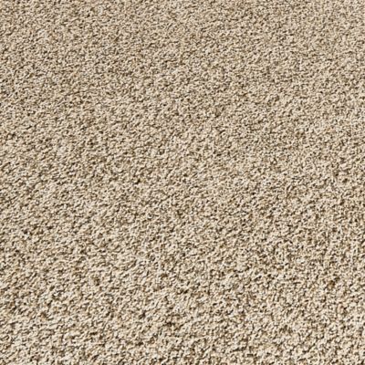 Purrsonality II, Frosty Spice, Carpet | Mohawk Flooring