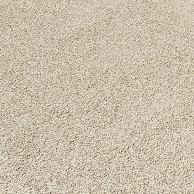 PetPremier Carpet in London Fog - Mohawk Flooring