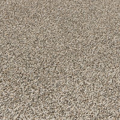 PetPremier Carpet in Highway - Mohawk Flooring