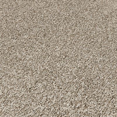 PetPremier Carpet in Pebble Trail - Mohawk Flooring