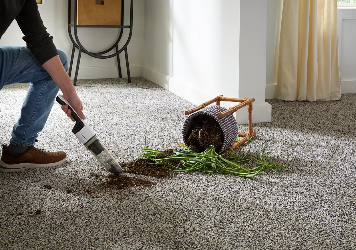 man vacuuming dirt off pet premier carpet