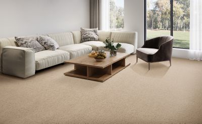 SmartStrand Carpet in Aspen - Mohawk Flooring