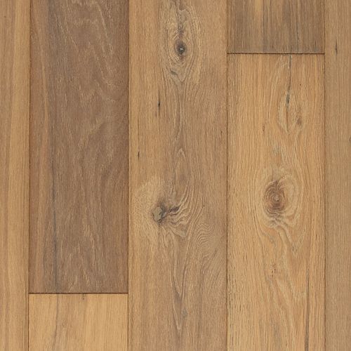 Sandbar Oak