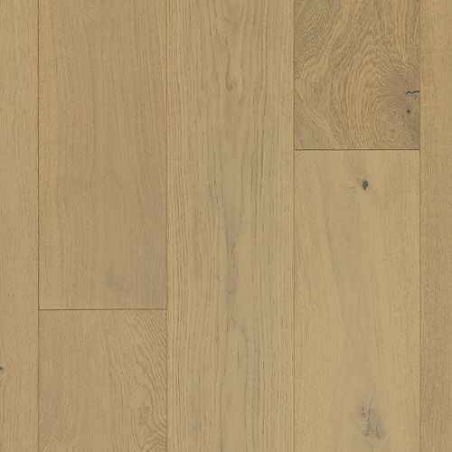 Schooner Oak