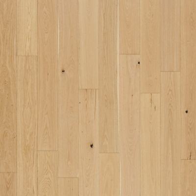 filteredCollection[selectedProductIndex]?.masterStyleNumber