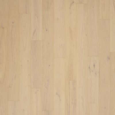 filteredCollection[selectedProductIndex]?.masterStyleNumber