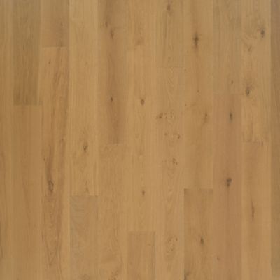 filteredCollection[selectedProductIndex]?.masterStyleNumber