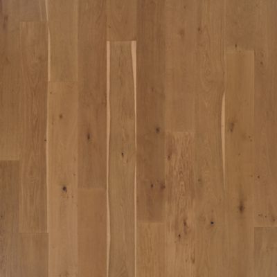 filteredCollection[selectedProductIndex]?.masterStyleNumber