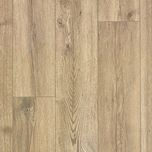 Canvas Oak