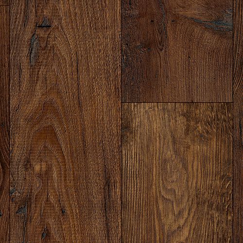 Longhorn Chestnut