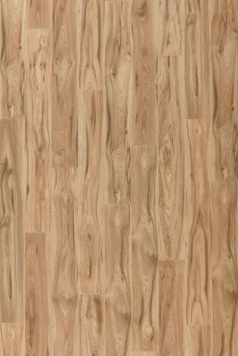 View Natural Park Hickory in the Visualizer