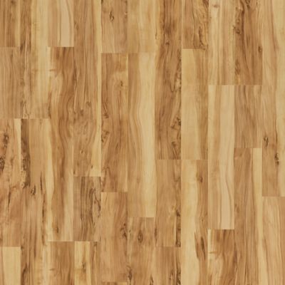 View Ellwood Maple in the Visualizer