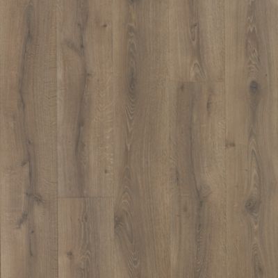 カメラ レンズ(単焦点) Colossia | grain oak