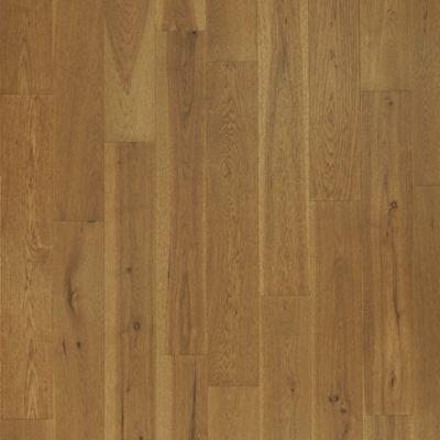 カメラ レンズ(単焦点) Centoria | tanbridge hickory
