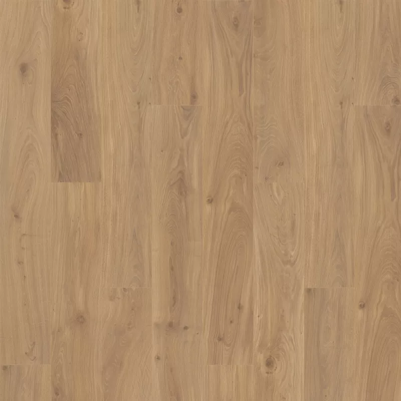 Quick-Step NatureTEK Select Ellicott Point Gilded Page Oak waterproof laminate