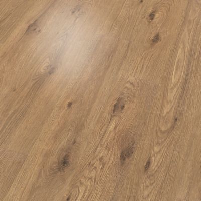 PureTech Premier Resilient / Vinyl in Thorny Hedge Oak - Mohawk