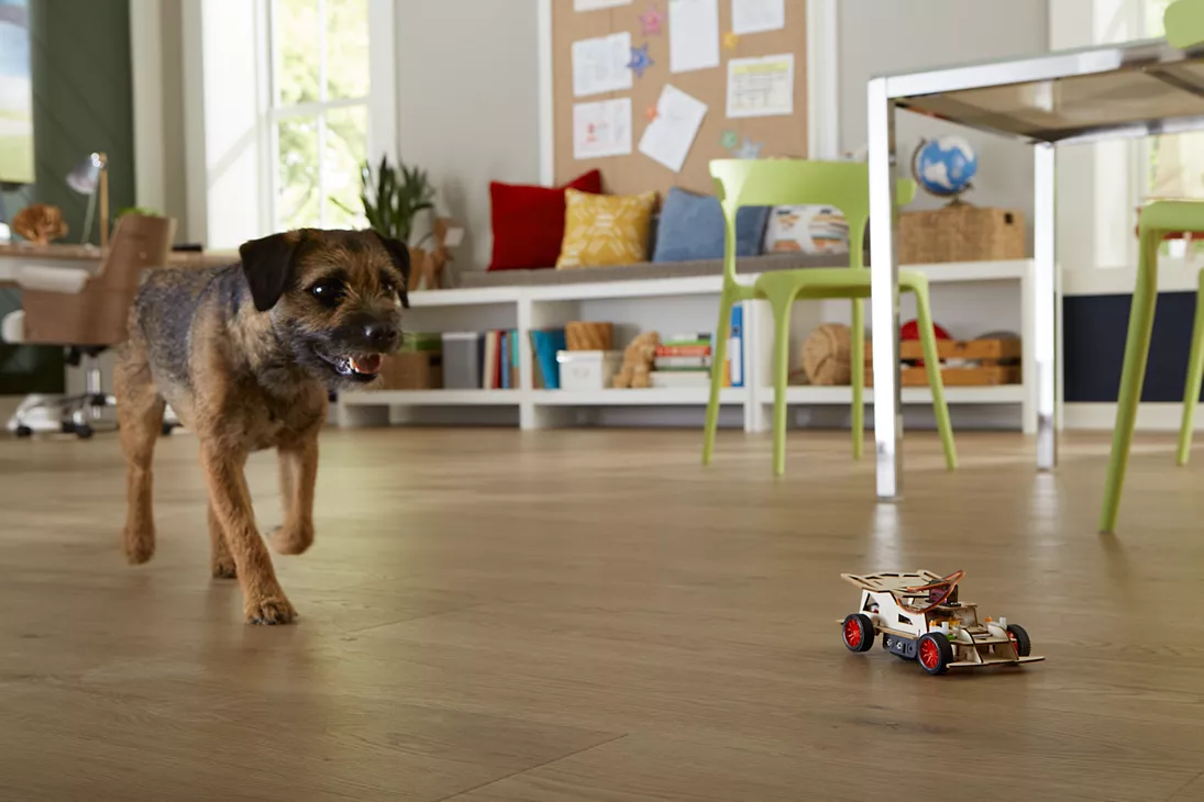 dog running across puretech premier floor in office playroom